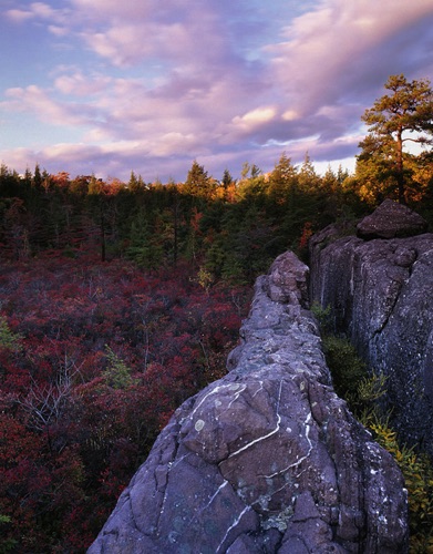 Abram Hewett State Forest, NJ Highlands, Passaic County, NJ (MF).jpg